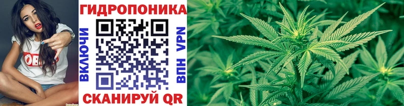 цена наркотик  Кяхта  Конопля VHQ 